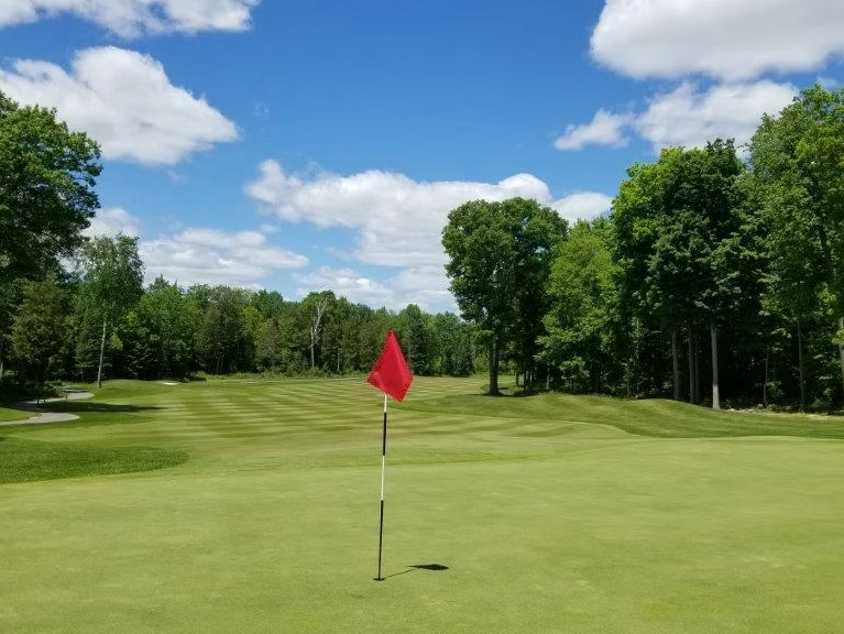 The flag in the pin on a green looking abck at the fairway
