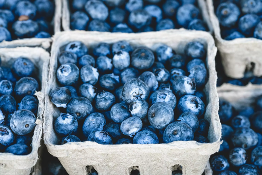 Ten Healthy Food Choices for Hungry Golfers